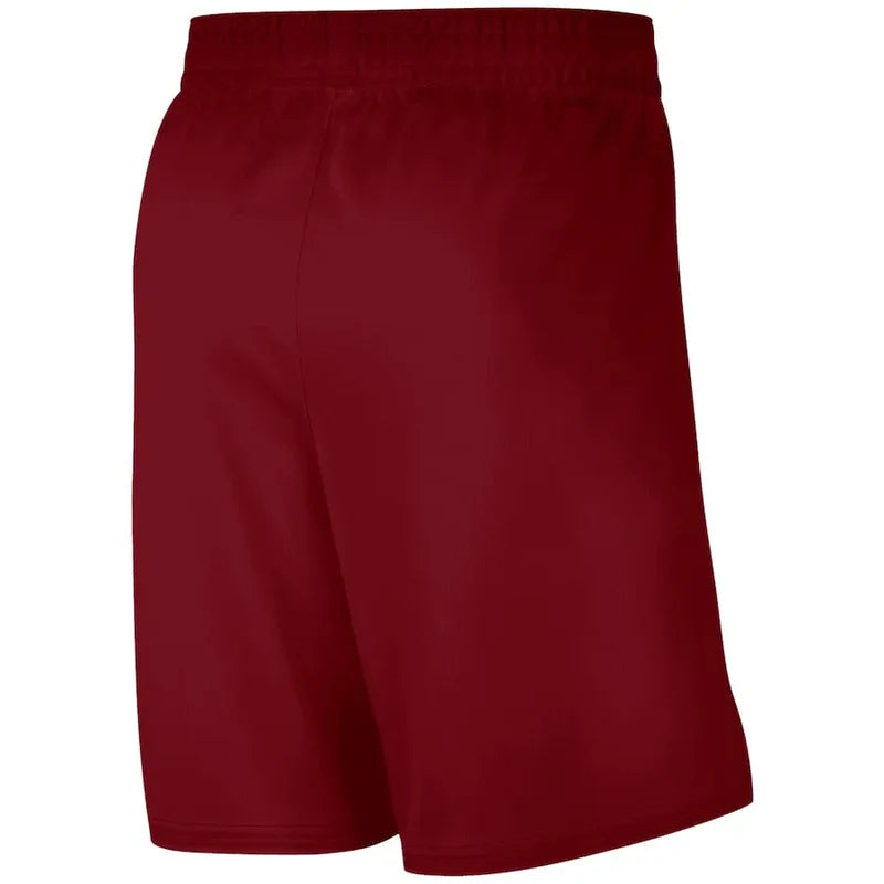 Short Cleveland Cavaliers Icon Edition 2025/2026 - Vue de dos